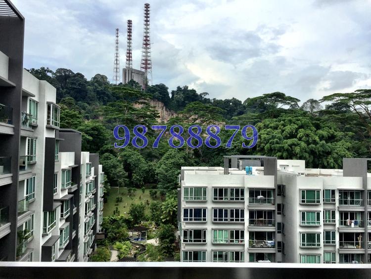 The Raintree (D21), Condominium #85094652